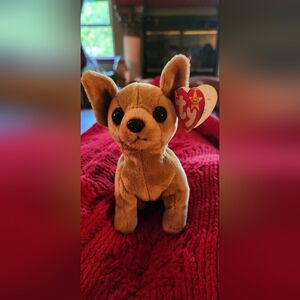 Ty Beanie Baby Tiny The Chihuahua Dog With 3 Errors *Rare*, Excellent Condition!